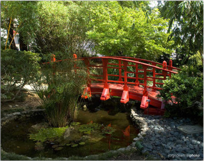 Japanese Bridge