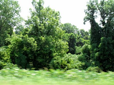 2009_0627Vicksburg0018.jpg
