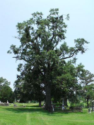 2009_0627Vicksburg0024.jpg
