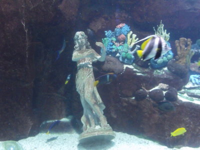Aquarium 3