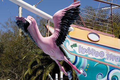 IMG_9026.jpg