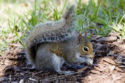 IMG_9684.jpg