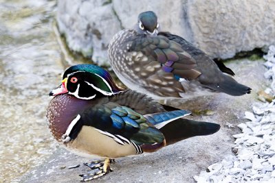 IMG_8238.jpg