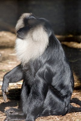 IMG_3508.jpg