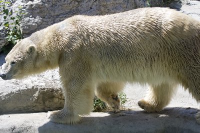 IMG_4050.jpg