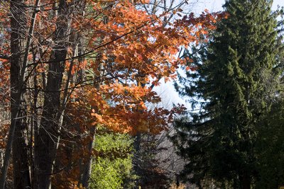 IMG_04828.jpg
