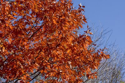 IMG_04845.jpg