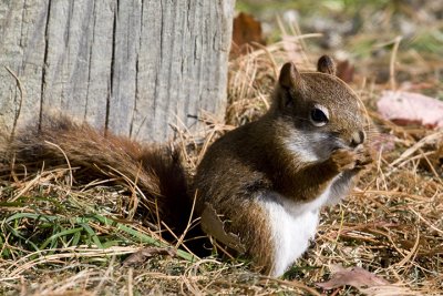 IMG_4341.jpg