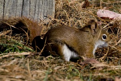 IMG_4344.jpg