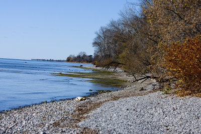 IMG_4613.jpg
