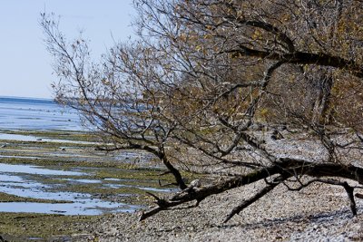 IMG_4632.jpg