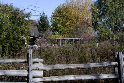 IMG_4650.jpg