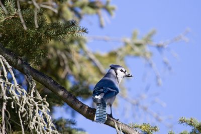 IMG_4777.jpg