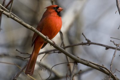 IMG_6475.jpg