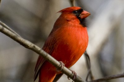 IMG_6476.jpg