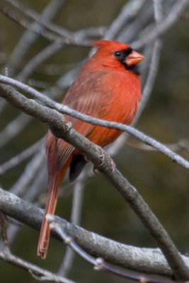 IMG_6555.jpg