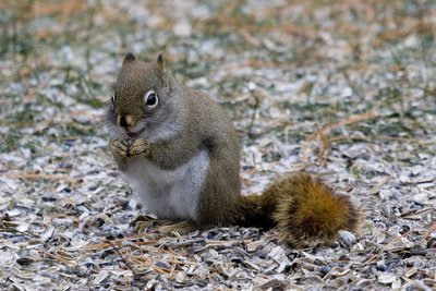 IMG_8639.jpg