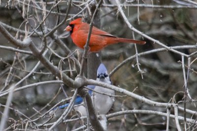 IMG_8815.jpg