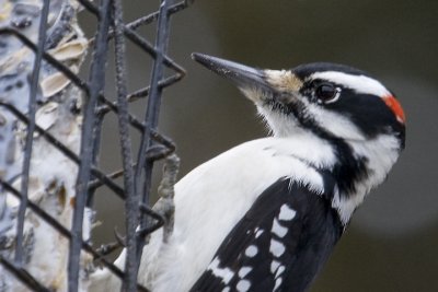 IMG_8843.jpg