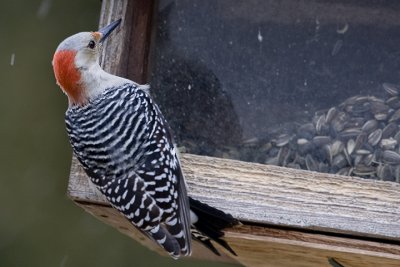 IMG_8856.jpg