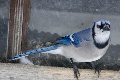 IMG_9351.jpg