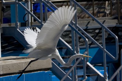 IMG_5314.jpg