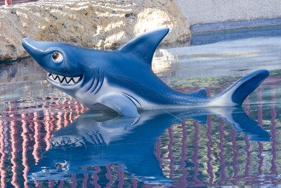 SeaWorld the 2nd Time this month