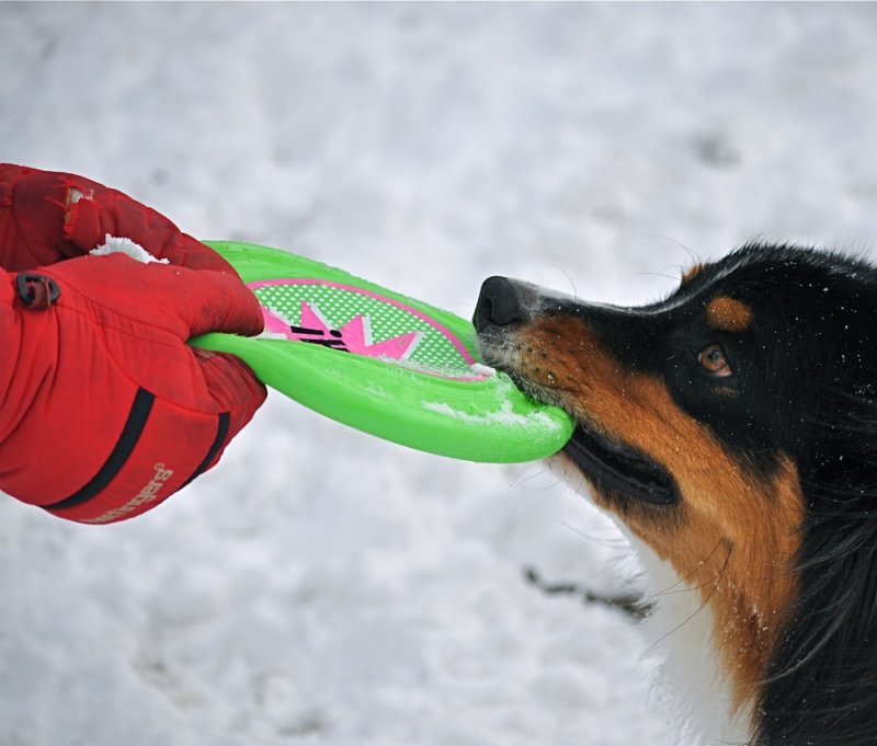 Please Throw it Again Dad.