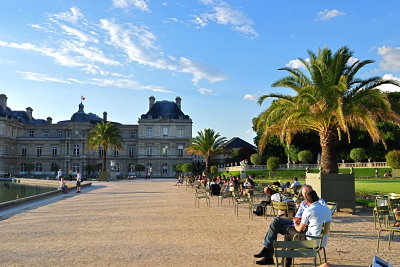 Palm Trees in Luxembourg Gardens