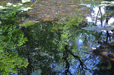 Blue Skies in the Water