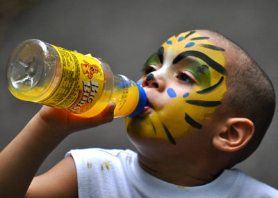 Tiger Drinking