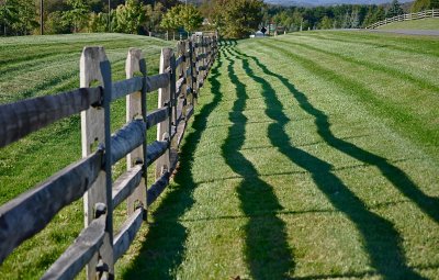 Fence Lines