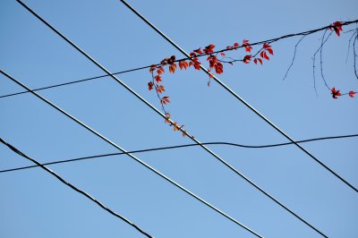 Lines Above The Street