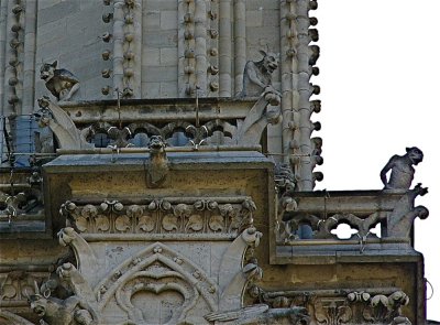 The Gargoyles on Notre Dame