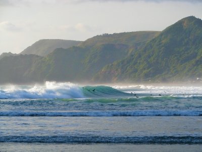 Surfers at Piha