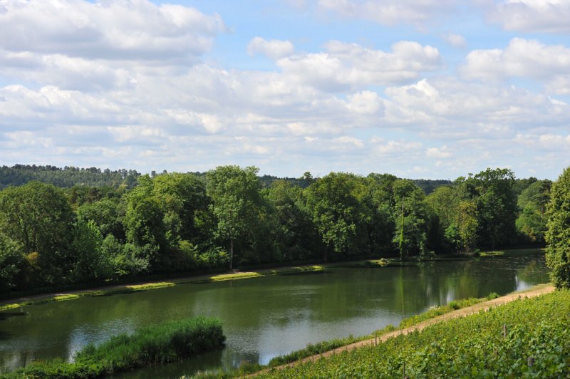 Painshill Park, Surrey