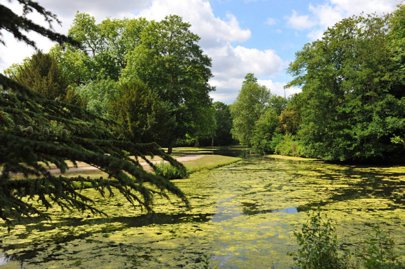 Painshill Park, Surrey