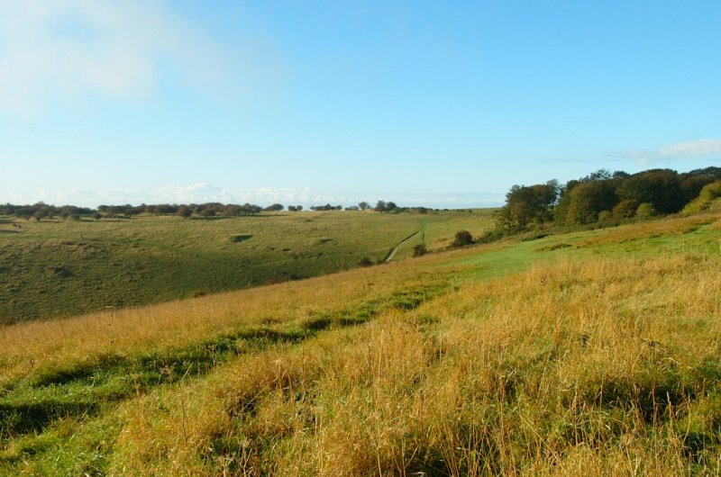 Devils Dyke, Sussex