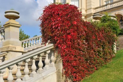 Cherkley Court 0908_ 95.jpg