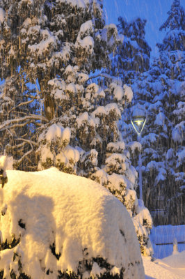 Snow 0209_ 09.jpg