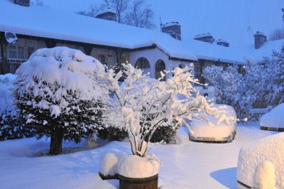 Snow 0209_ 12.jpg