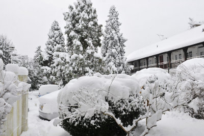 Snow 0209_ 27.jpg