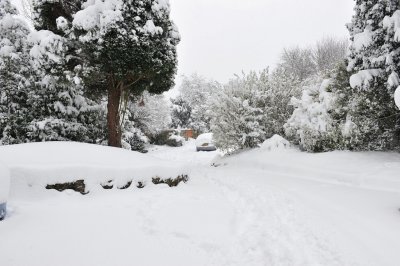 Snow 0209_ 29.jpg