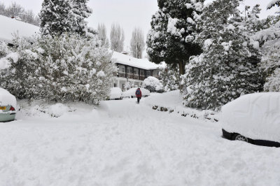Snow 0209_ 42.jpg