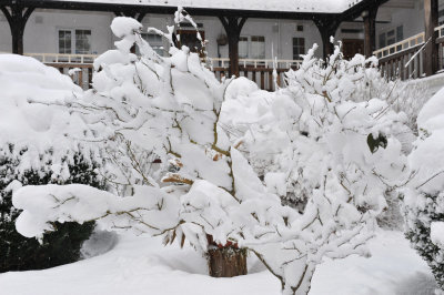 Snow 0209_ 48.jpg