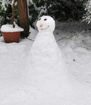 Snow 0209_ 60.jpg