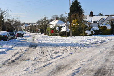 Snow 0209_ 73.jpg