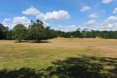 Painshill Park, Surrey