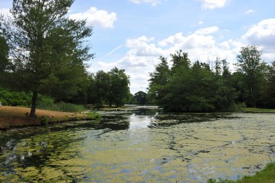 Painshill Park, Surrey