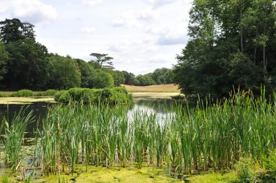 Painshill Park, Surrey